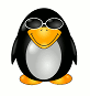 [Pinguin mit Sonnenbrille]